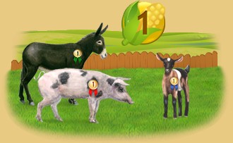Clasificación de los salones agrícolas
